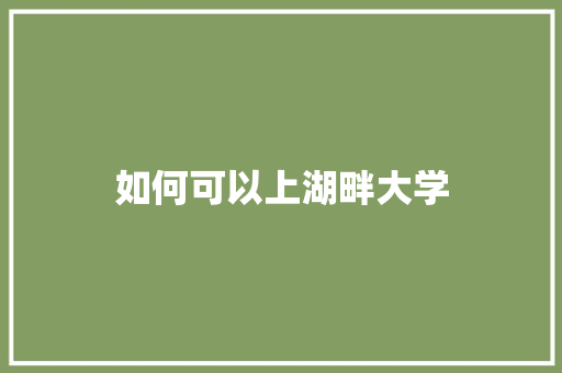 如何可以上湖畔大学