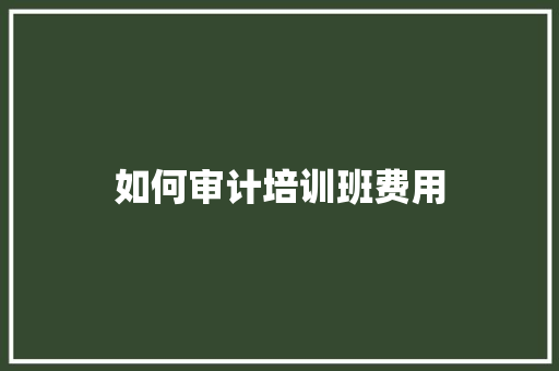 如何审计培训班费用