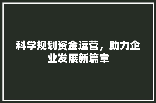 科学规划资金运营，助力企业发展新篇章