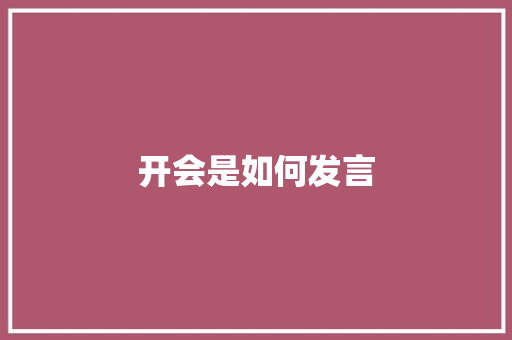 开会是如何发言