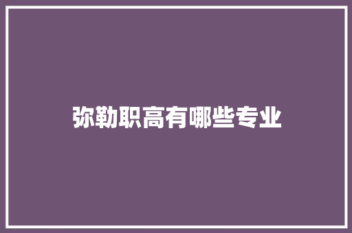 弥勒职高有哪些专业