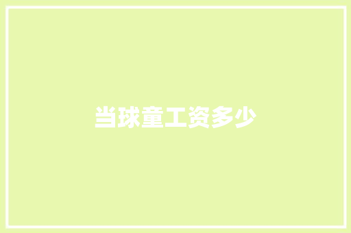 当球童工资多少