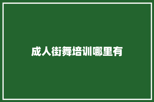 成人街舞培训哪里有