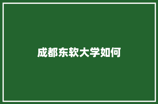 成都东软大学如何
