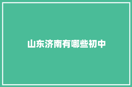 山东济南有哪些初中