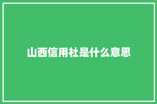 山西信用社是什么意思