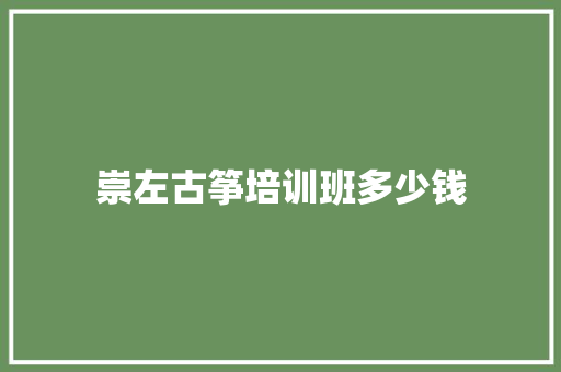 崇左古筝培训班多少钱