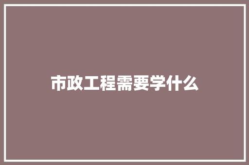 市政工程需要学什么