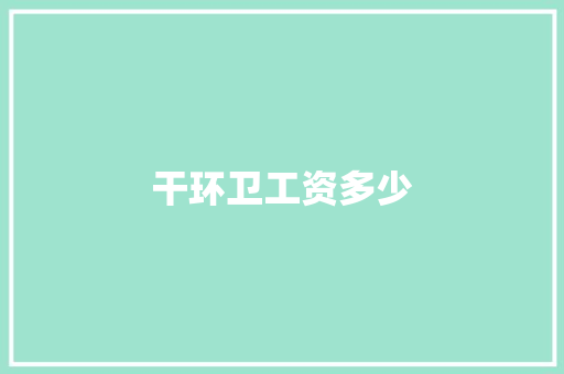 干环卫工资多少