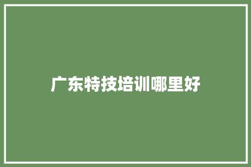 广东特技培训哪里好