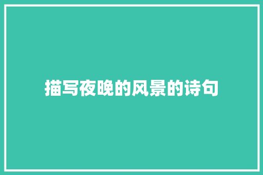 描写夜晚的风景的诗句