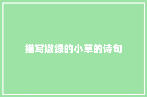 描写嫩绿的小草的诗句
