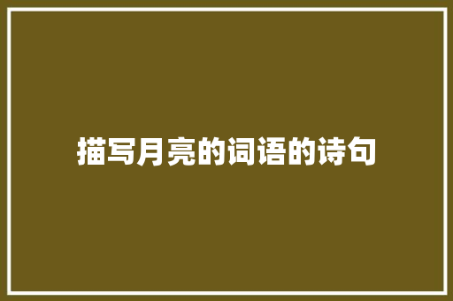 描写月亮的词语的诗句