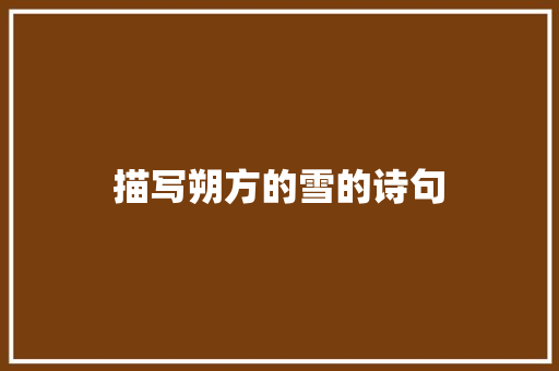 描写朔方的雪的诗句