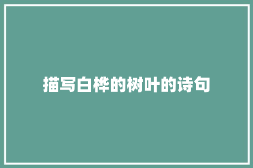 描写白桦的树叶的诗句