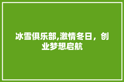 冰雪俱乐部,激情冬日，创业梦想启航