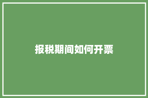 报税期间如何开票