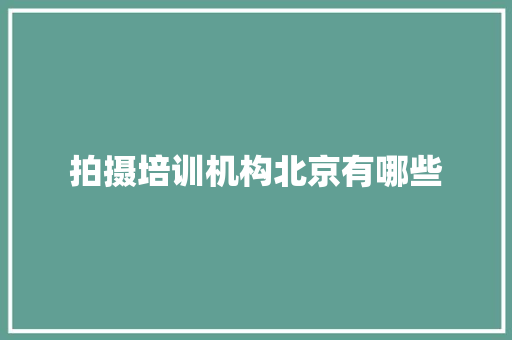 拍摄培训机构北京有哪些
