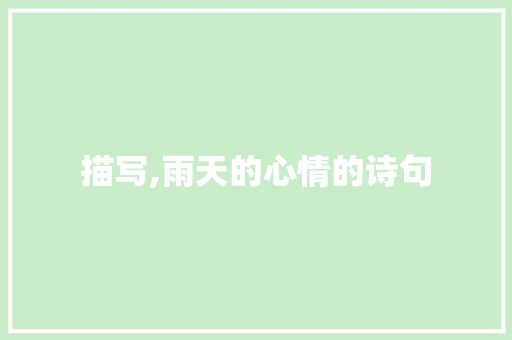 描写,雨天的心情的诗句