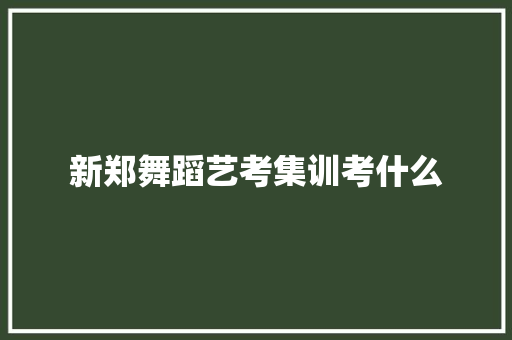 新郑舞蹈艺考集训考什么 职场应用
