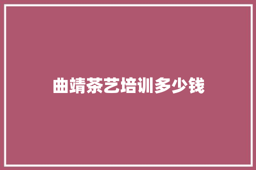 曲靖茶艺培训多少钱