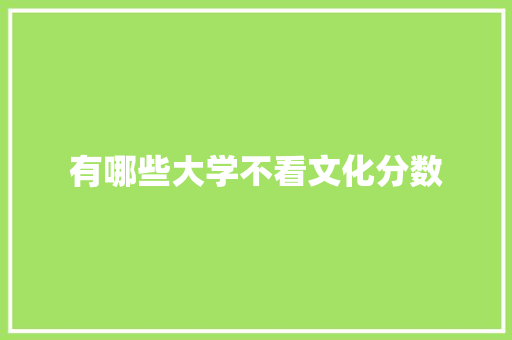 有哪些大学不看文化分数