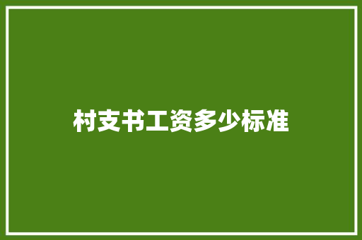 村支书工资多少标准