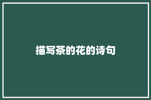 描写茶的花的诗句