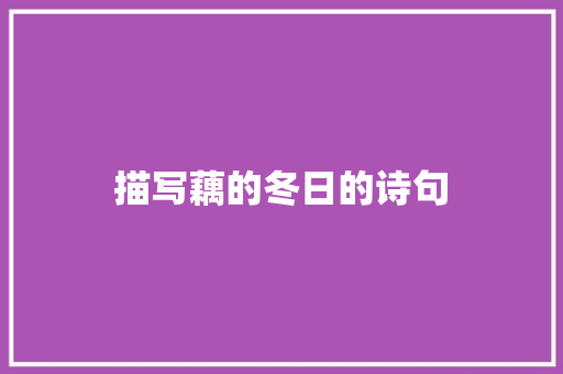 描写藕的冬日的诗句