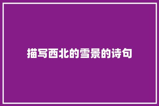 描写西北的雪景的诗句
