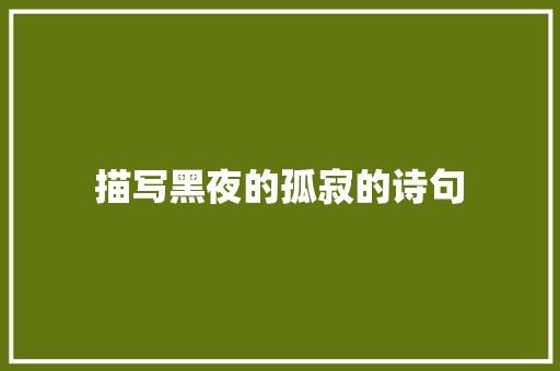 描写黑夜的孤寂的诗句