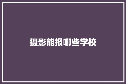 摄影能报哪些学校