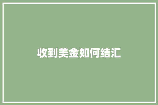 收到美金如何结汇
