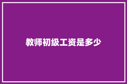 教师初级工资是多少