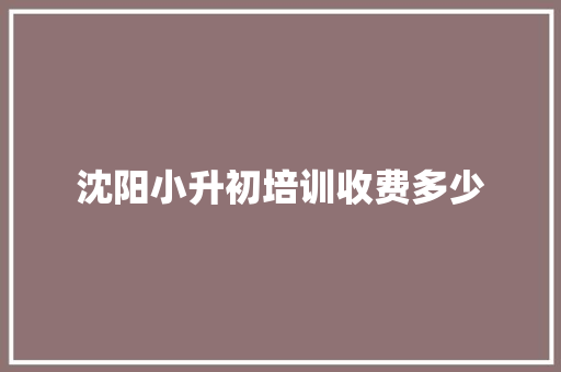 沈阳小升初培训收费多少