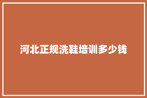 河北正规洗鞋培训多少钱
