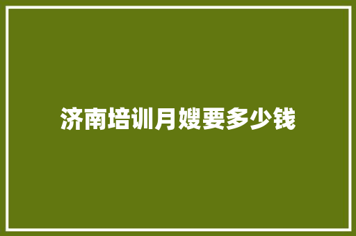 济南培训月嫂要多少钱