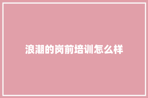 浪潮的岗前培训怎么样