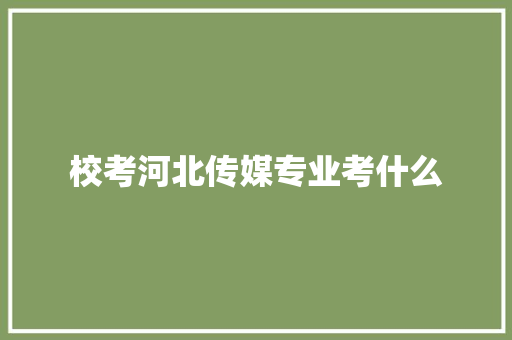 校考河北传媒专业考什么