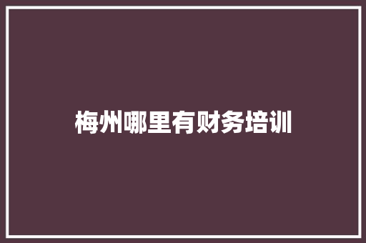 梅州哪里有财务培训