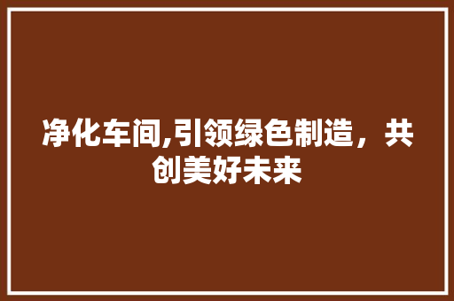 净化车间,引领绿色制造，共创美好未来
