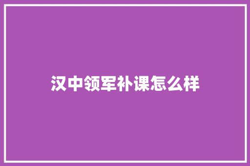 汉中领军补课怎么样