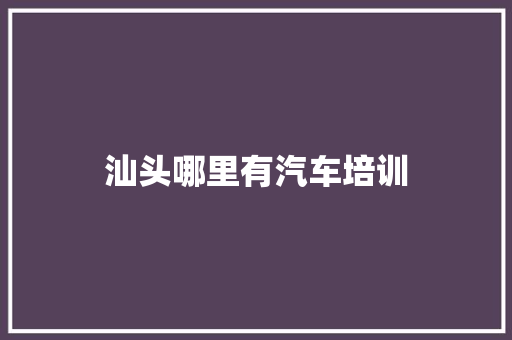 汕头哪里有汽车培训