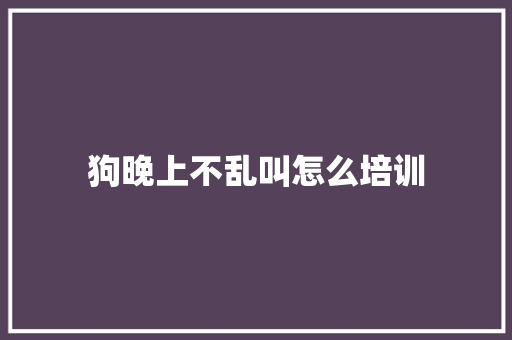 狗晚上不乱叫怎么培训