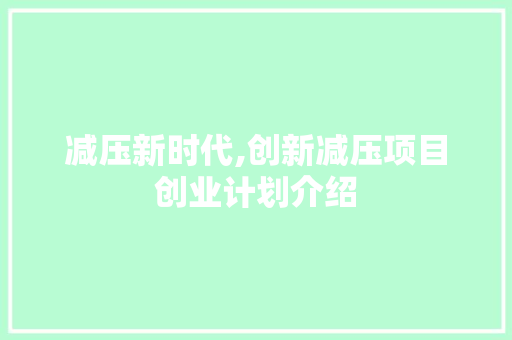 减压新时代,创新减压项目创业计划介绍