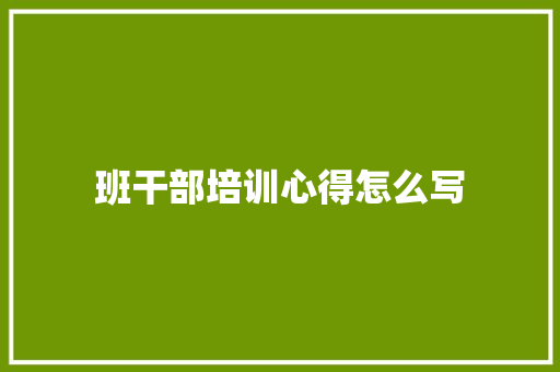 班干部培训心得怎么写