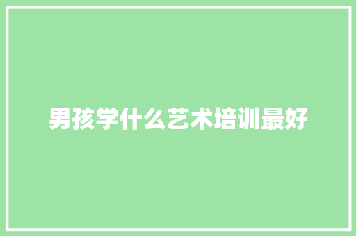 男孩学什么艺术培训最好