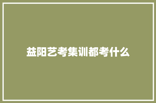 益阳艺考集训都考什么