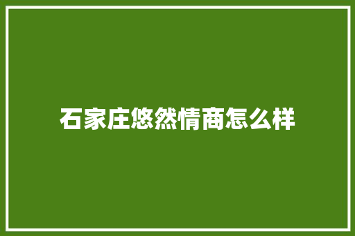 石家庄悠然情商怎么样