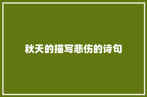 秋天的描写悲伤的诗句